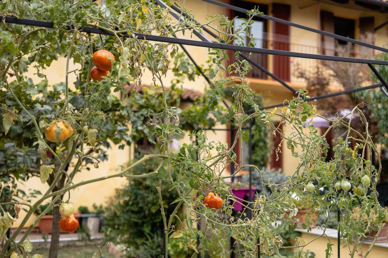 La Valle B&B Asti Eksteriør billede
