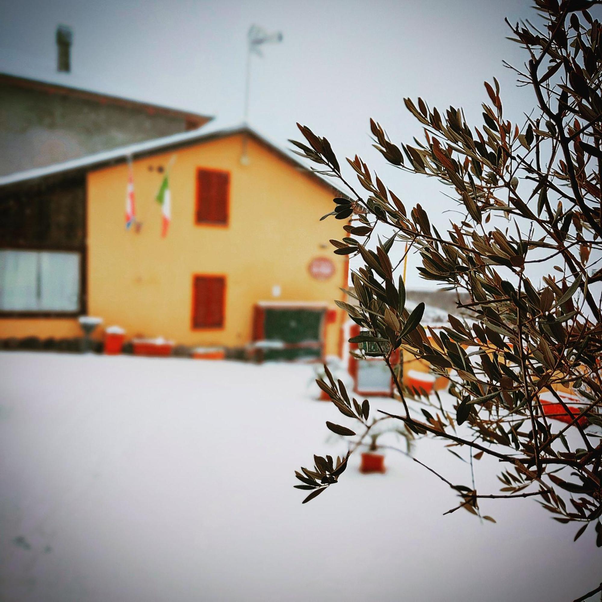 La Valle B&B Asti Eksteriør billede